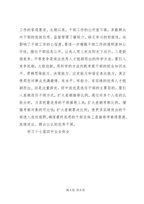 学习十七届四中全会体会 (2).docx