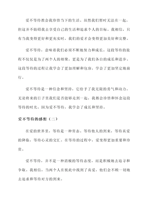 爱不等待的感想