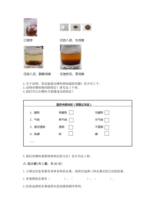 教科版一年级下册科学期末测试卷（综合卷）.docx