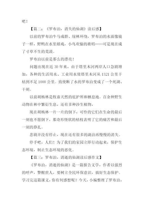 罗布泊消逝的仙湖读后感.docx