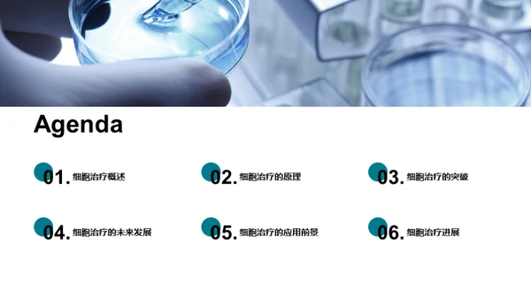 商务风生物医疗教学课件PPT模板