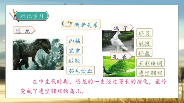 【核心素养】部编版语文四年级下册-6.飞向蓝天的恐龙 第1课时（课件）