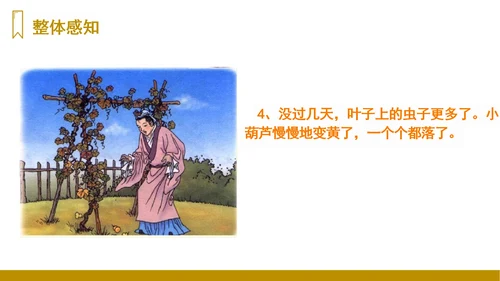 第14课《我要的是葫芦》（课件）