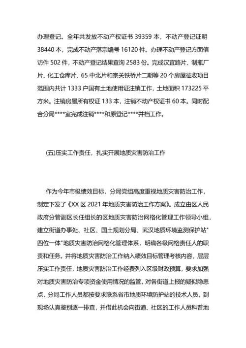 国土规划分局2021年工作总结和2021年工作计划 (2).docx