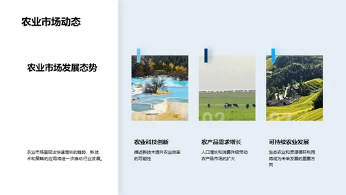 创新农业投资策略