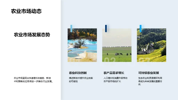 创新农业投资策略