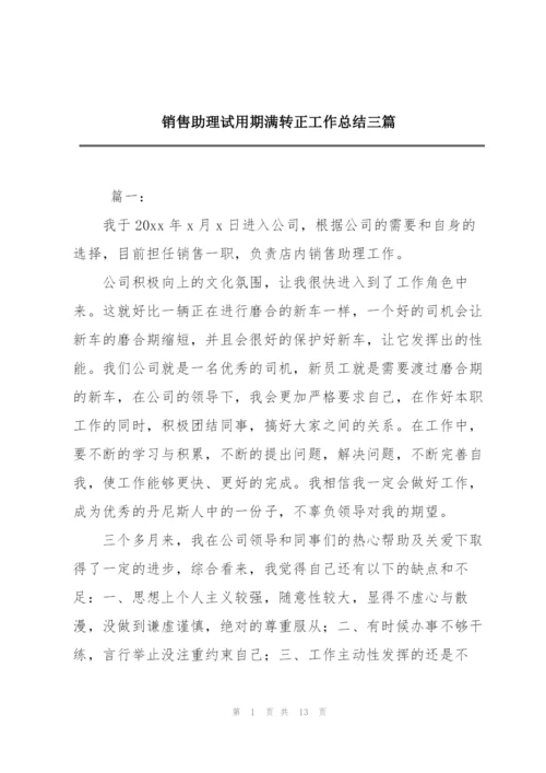 销售助理试用期满转正工作总结三篇.docx