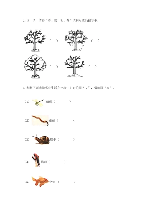 教科版二年级上册科学期末测试卷精品（综合题）.docx