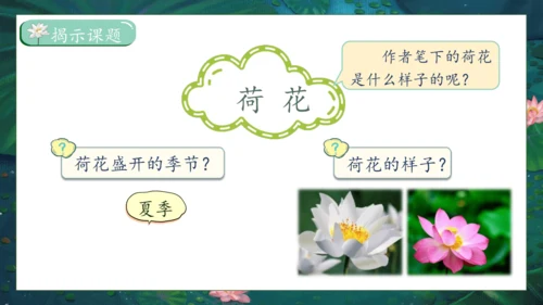 【核心素养】部编版语文三年级下册-3. 荷花 第1课时（课件）