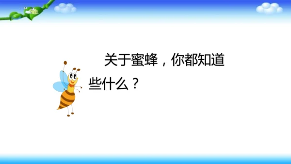 14《蜜蜂》课件
