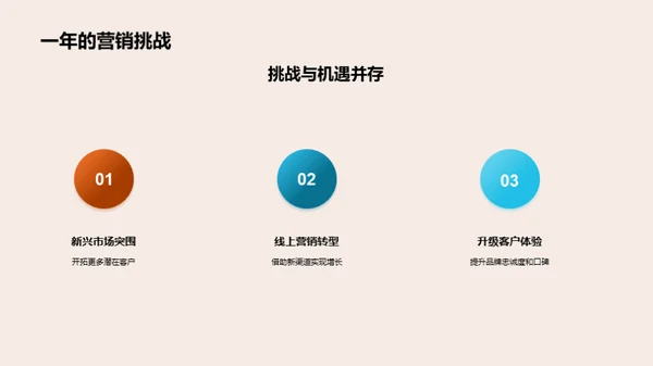 营销策略回顾与前瞻