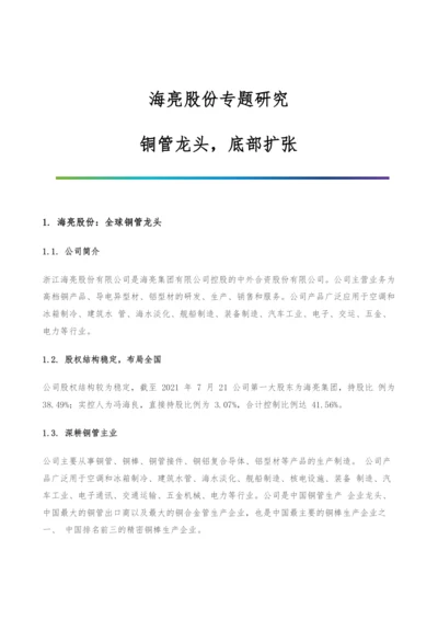 海亮股份专题研究-铜管龙头-底部扩张.docx