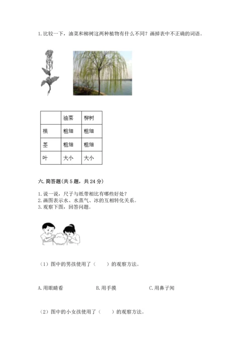 教科版一年级上册科学期末测试卷含答案【最新】.docx