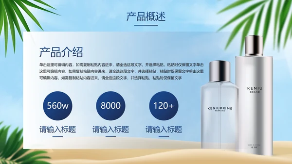 高级立体夏季产品介绍手册PPT模板