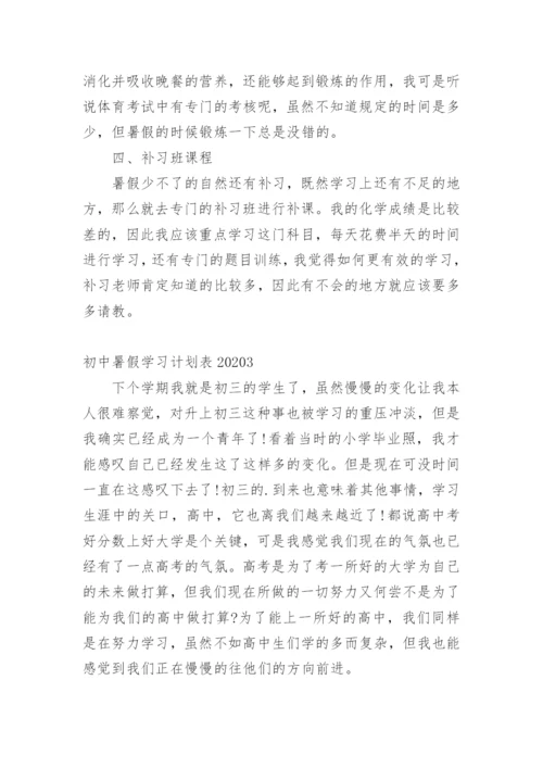 初中暑假学习计划表.docx