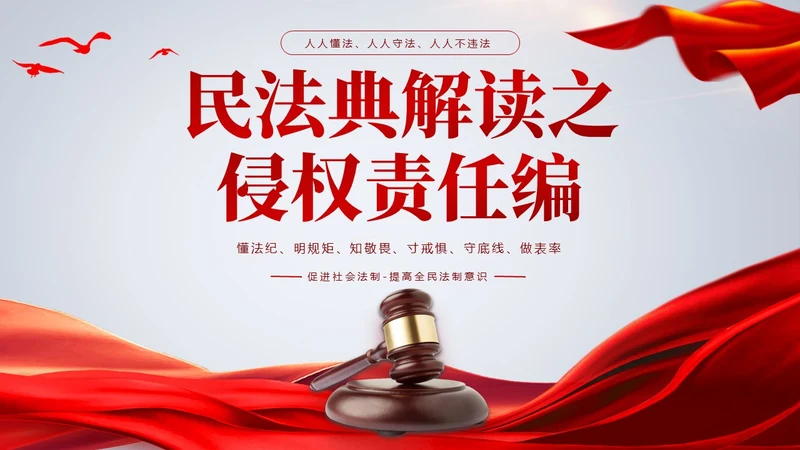 灰色简约风民法典解读之侵权责任编教育PPT课件