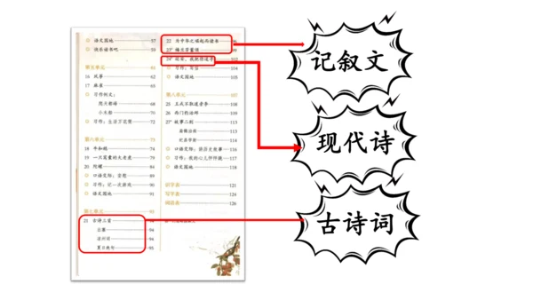 统编版语文四年级上册 语文第七单元期末复习   课件