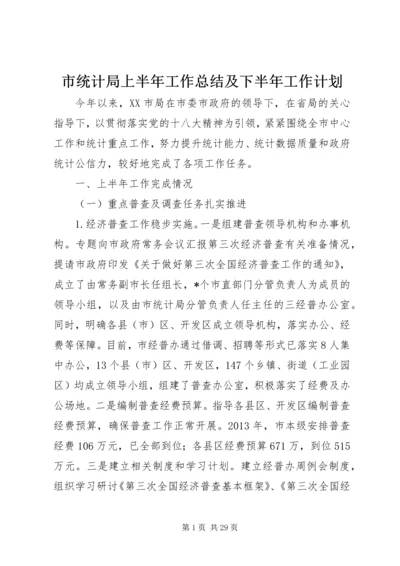 市统计局上半年工作总结及下半年工作计划 (2).docx