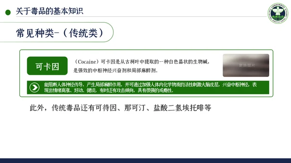 国际禁毒日珍爱生命远离禁毒教育模板