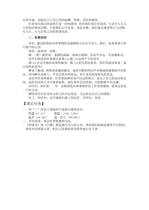 4.珍珠鸟 教案