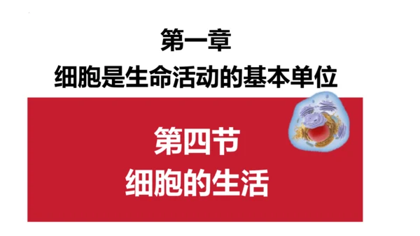 2.1.4细胞的生活课件2023--2024学年人教版生物七年级上册(共34张PPT)