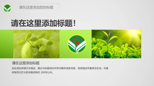 绿色共青团青年文明号总结PPT模板