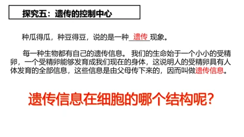 2.1.4细胞的生活课件2023--2024学年人教版生物七年级上册(共34张PPT)