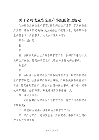 关于公司成立安全生产小组的管理规定.docx