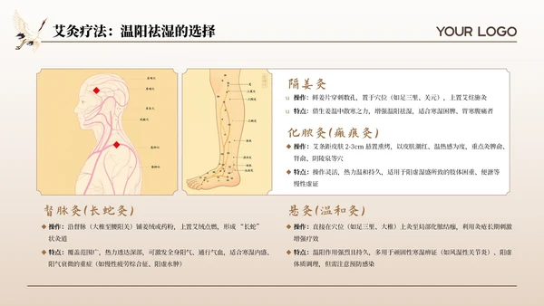 咖色古风中医理疗暑期养生座谈会通用PPT模板