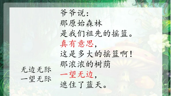 23祖先的摇篮 课件