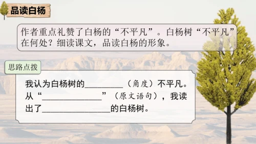 15 白杨礼赞 课件