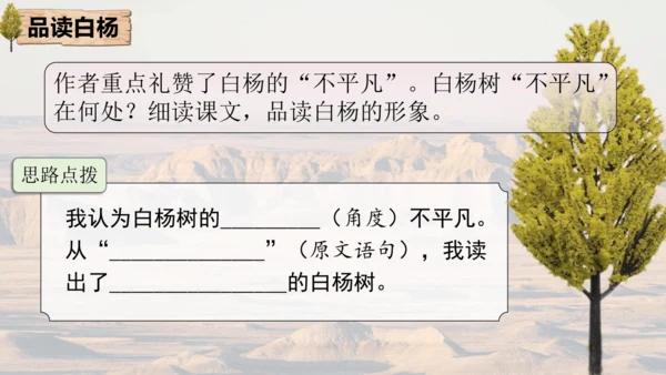 15 白杨礼赞 课件