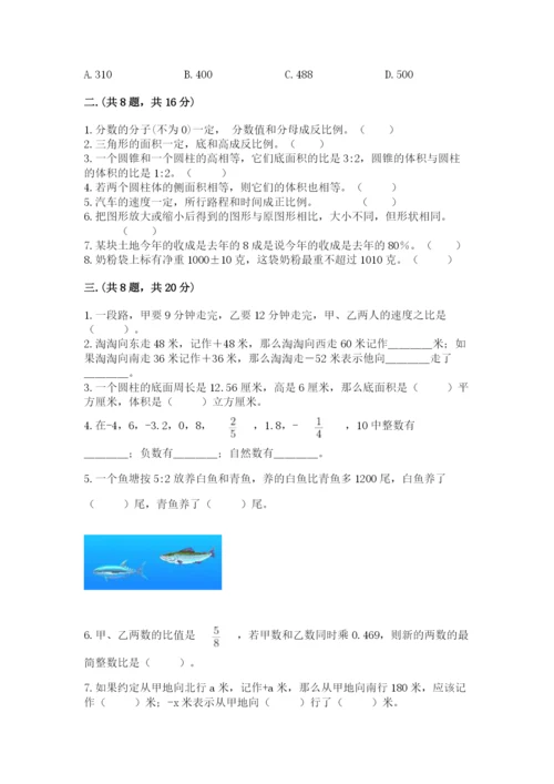 青岛版小升初数学模拟试卷含答案ab卷.docx