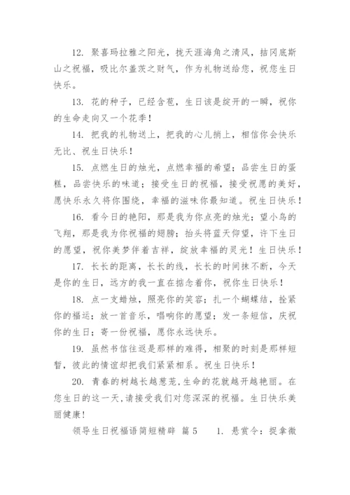 领导生日祝福语简短精辟.docx
