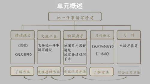 统编版语文四年级上册第五单元《单元解读》课件