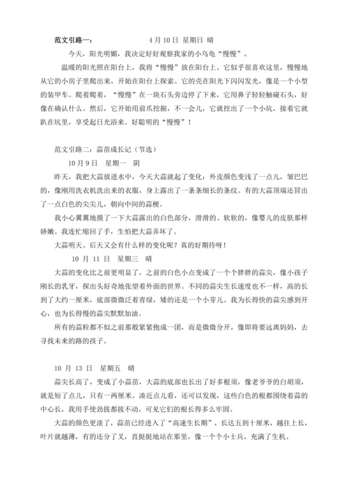 -统编版2024-2025学年语文四年级上册第三单元习作指导 写观察日记（讲稿）