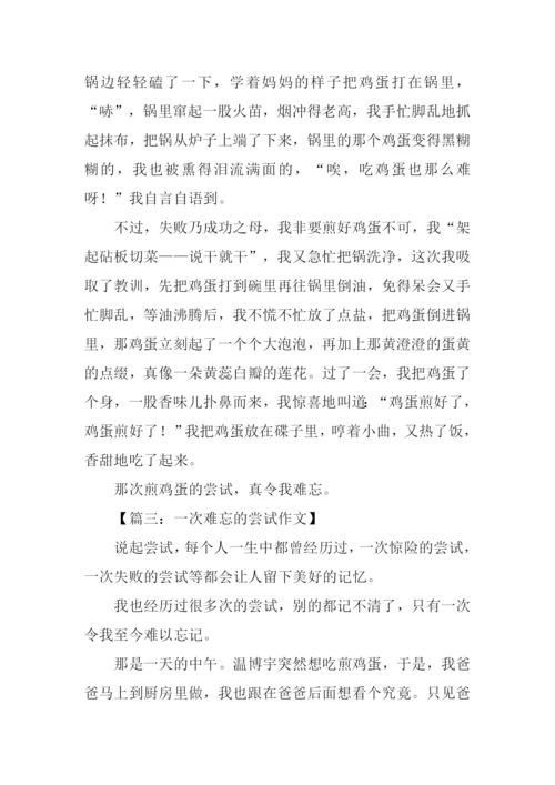 一次难忘的尝试作文600字.docx