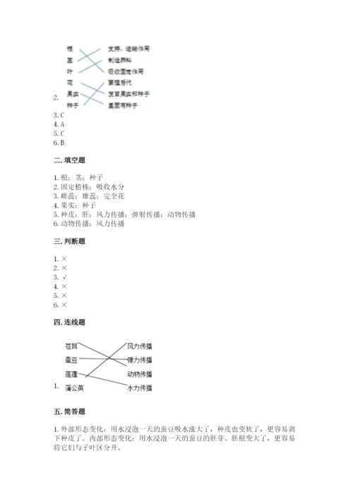 教科版四年级下册科学第一单元《植物的生长变化》测试卷【实用】.docx