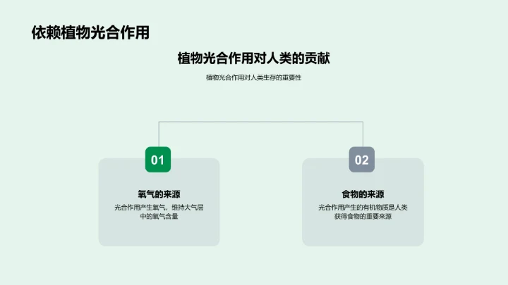 光合作用教学报告PPT模板