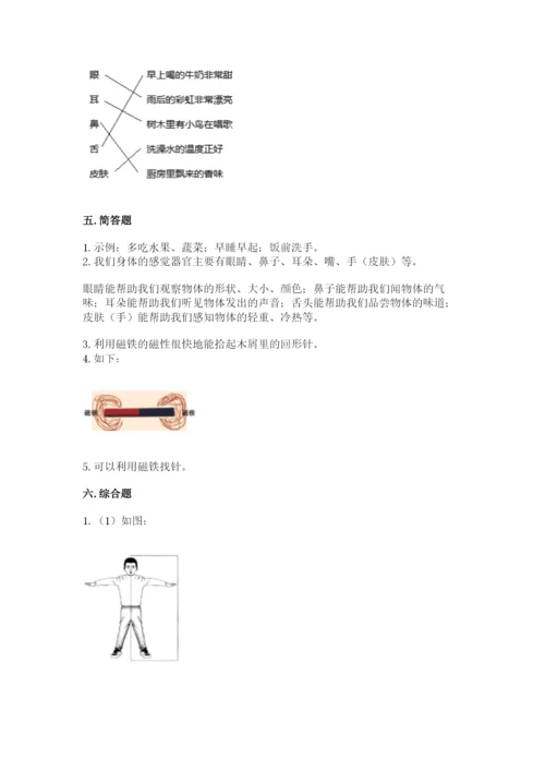 教科版小学科学二年级下册期末测试卷及参考答案（满分必刷）.docx