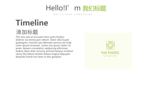 绿色飘逸医药代表销售计划动态PPT