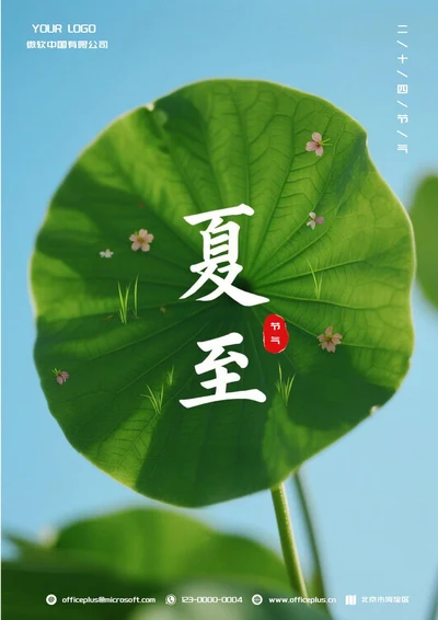 夏至二十四节气(荷花)