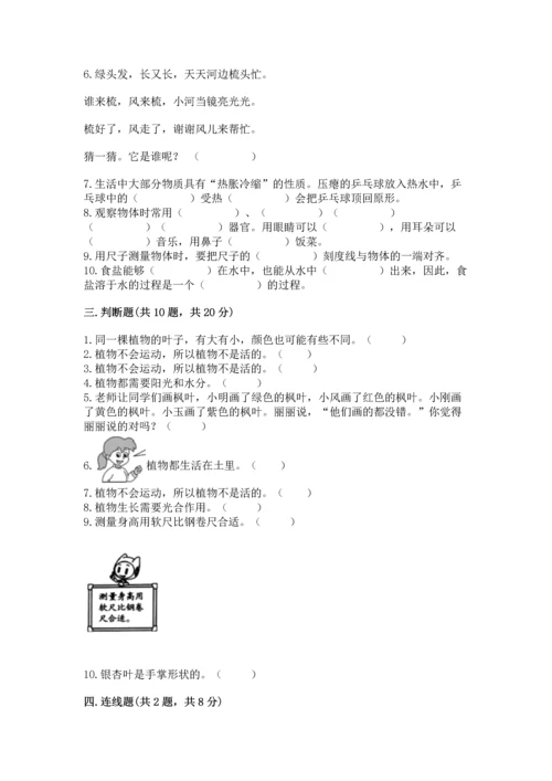 教科版一年级上册科学期末测试卷带答案（培优b卷）.docx