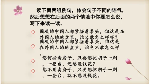 统编版语文四年级上册 语文第七单元期末复习   课件