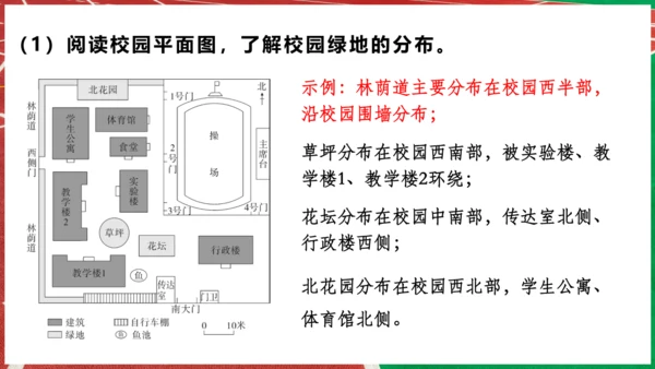 【人教新版】 七上第二章 跨学科主题学习 《美化校园》（教学课件20张）