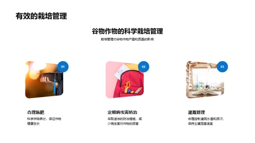 粮食安全的守护者