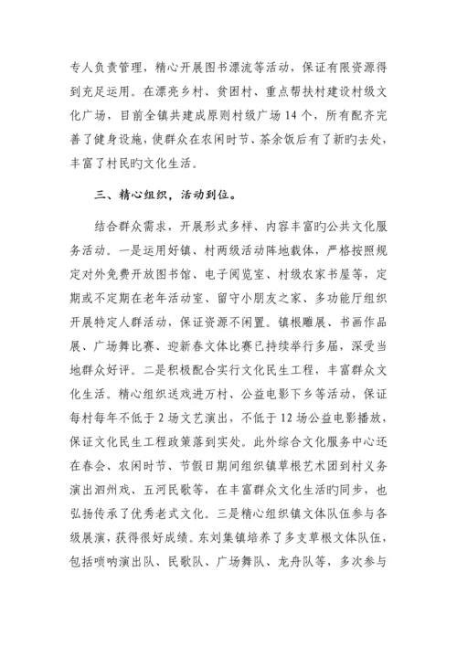 公共文化服务体系.docx