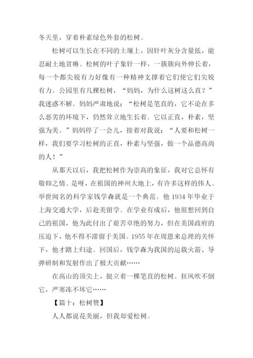 借物喻人的作文600字松树.docx