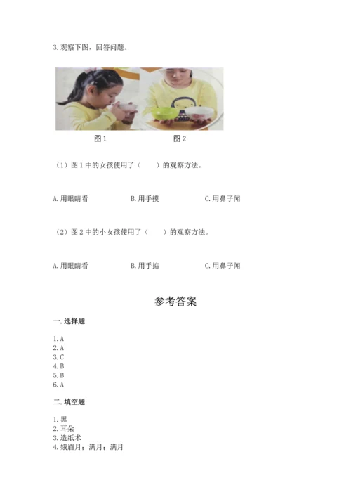 教科版二年级上册科学期末测试卷精品【名师系列】.docx