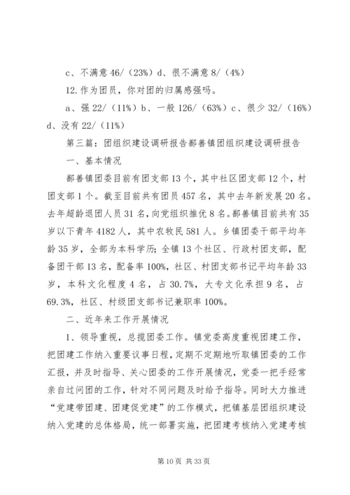 团组织调研报告.docx